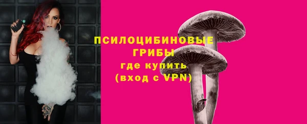 сатива Баксан