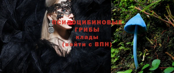 сатива Баксан