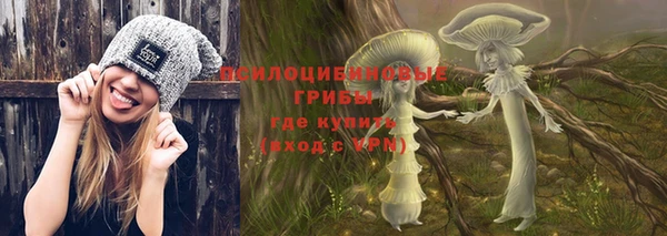 сатива Баксан