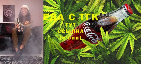 сатива Баксан