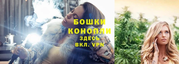 сатива Баксан